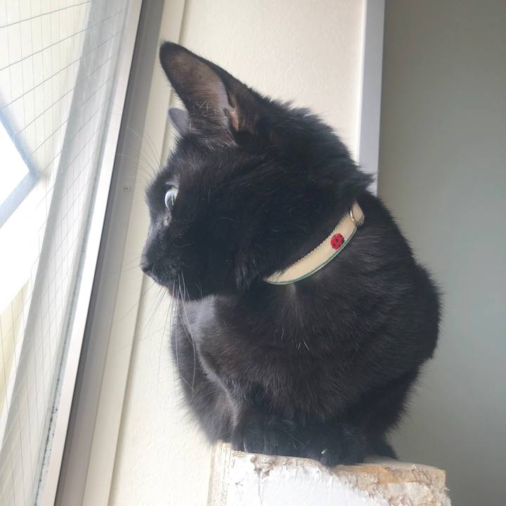 346aeb78 1d9a 427b 9f53 796d13a6141c 1593079536855