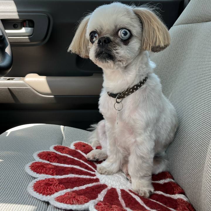 346af5a3 da1a 4f35 a616 a0dfb56ad230 1649569493768