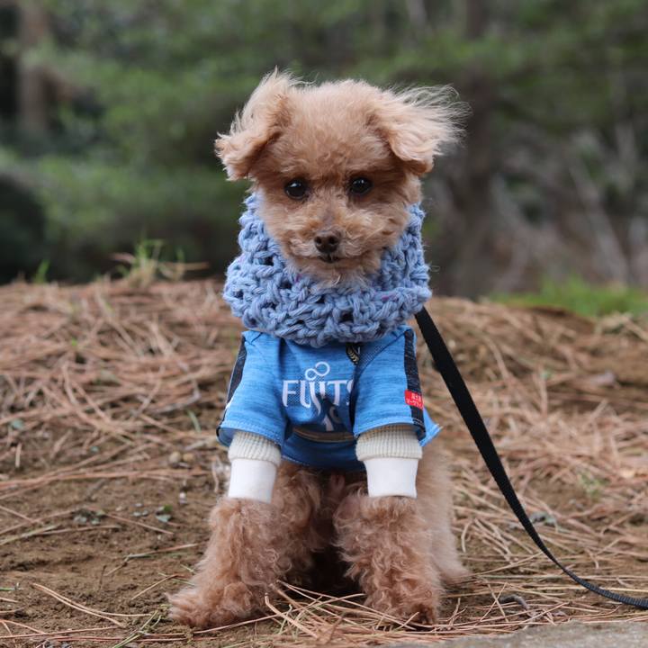 346b3250 ed84 4eec 9193 558fe51e13d9 1614340123023