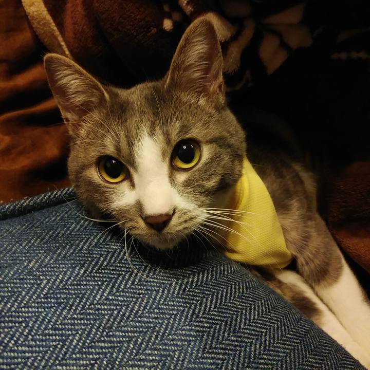 346b414b c176 4858 96f5 d907d8ed2ca3 1584976663705