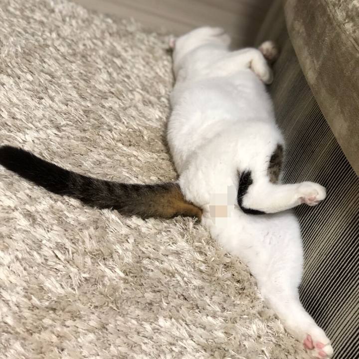 346b53dc 1ac2 4ea6 b0b5 d436e0112785 1535414938077