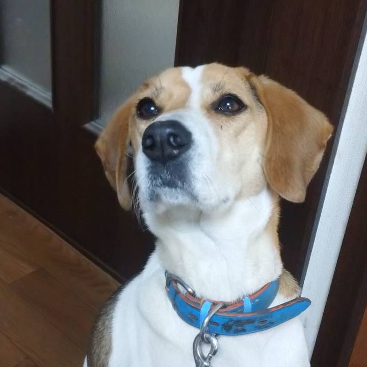 346b7021 cc83 47f1 967e b02afdeb83ab 1611890862356