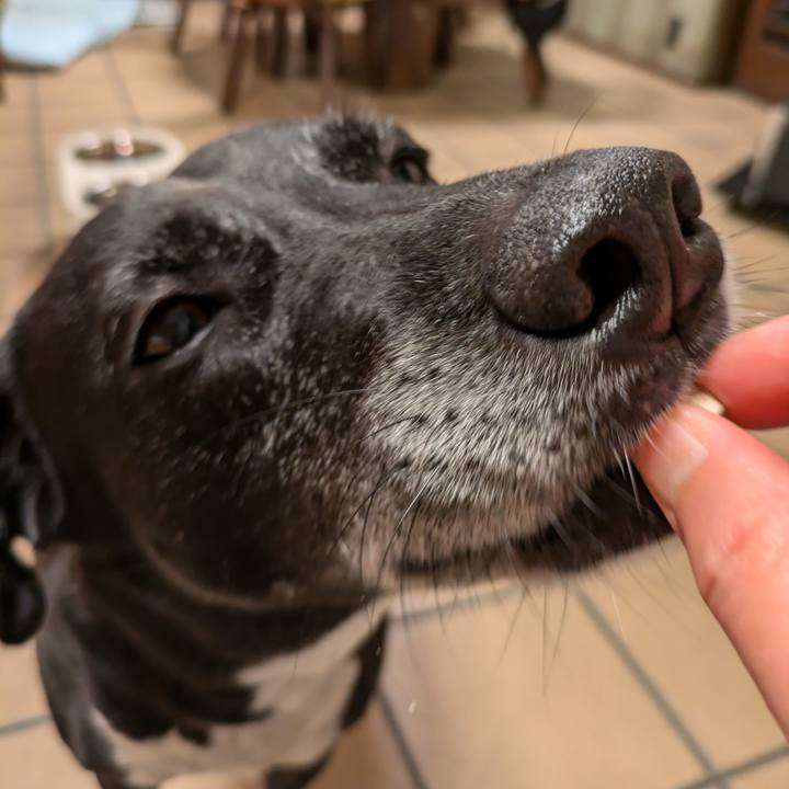 346b93dc 8826 4cc3 9d25 020195deab25 1720955151229