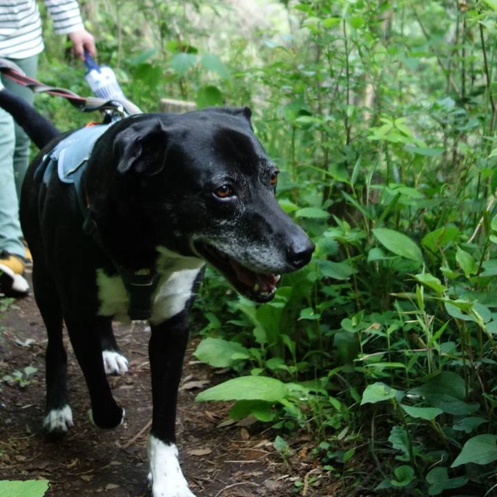 346ba343 9270 4fe7 b907 651c51f88ff1 1746056783357