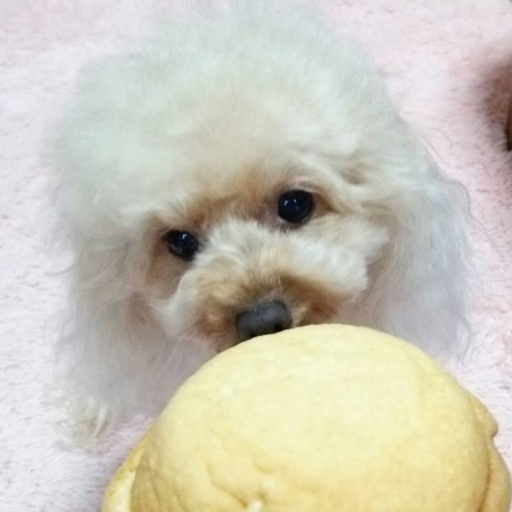 346bc458 eb15 46d6 82d4 c13491620965 1539765888291