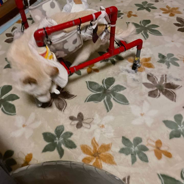 346bc829 f284 48b4 9f13 8d417d78afe2 1674577180659