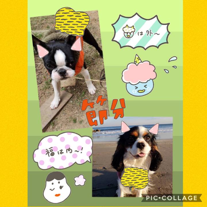 346bda86 ff5b 41c5 82af 9053d4c85cf5 1549204023168