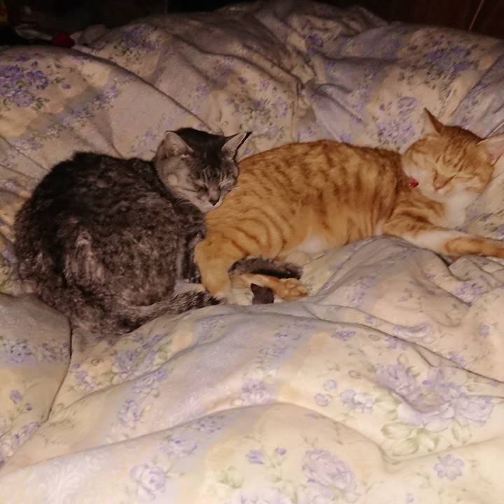 346be8c2 7a85 43b2 b611 1f428c6f540f 1576162729303