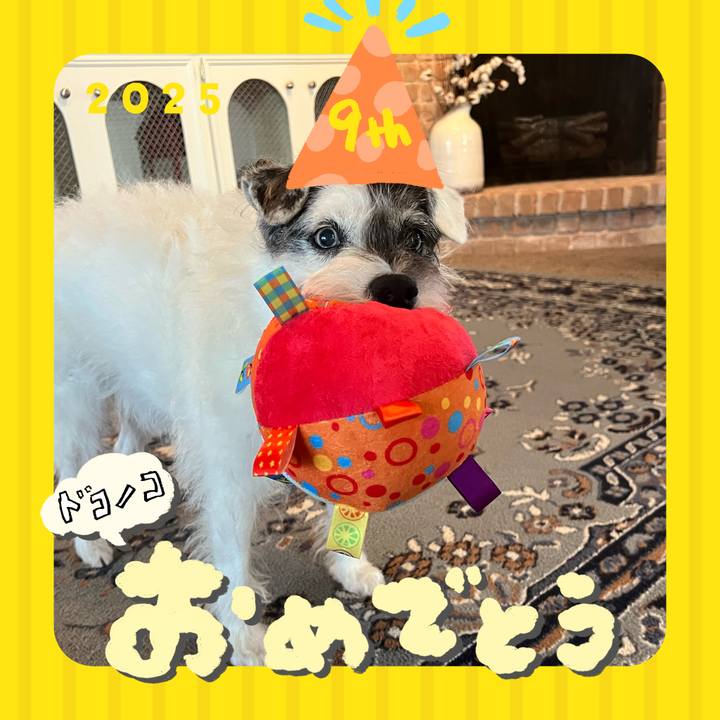 346be8e5 1b30 4224 a4eb b8e4f7da00ef 1749127899157