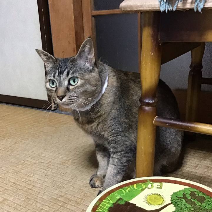 346bf005 4b45 43cb affe 7ad507a72317 1747986386838