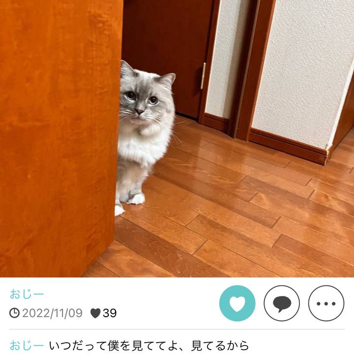 346bf03c e2e0 4528 b6ad 4dae85956ad7 1692018079225