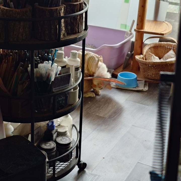 346bfddc 29f0 40f6 9aed 916ca38cc25b 1761718092004