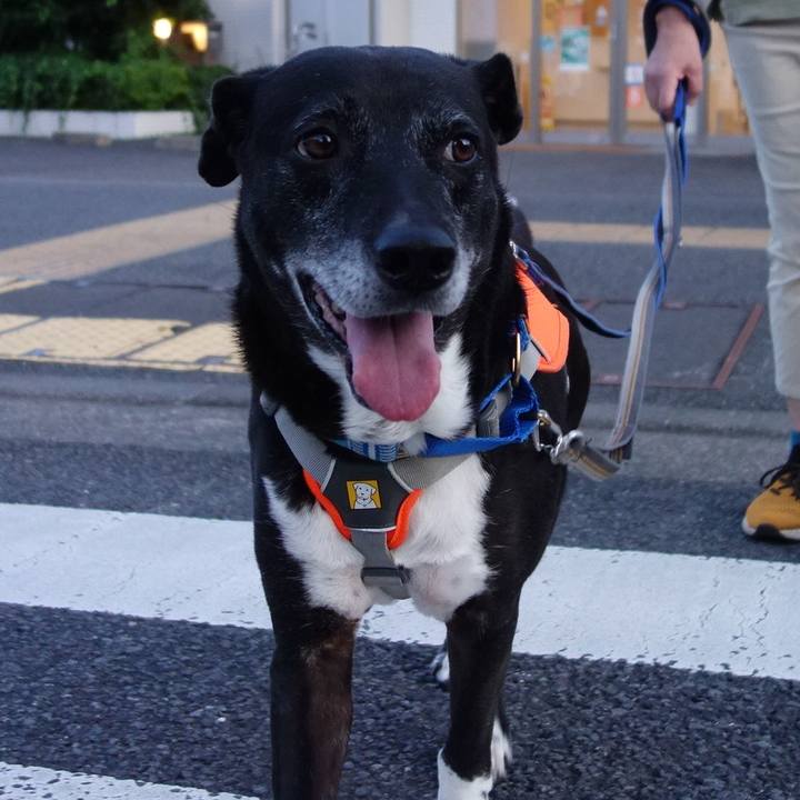 346c1892 3fc1 4ba5 a3df 95b4d6ca45e2 1752750222894