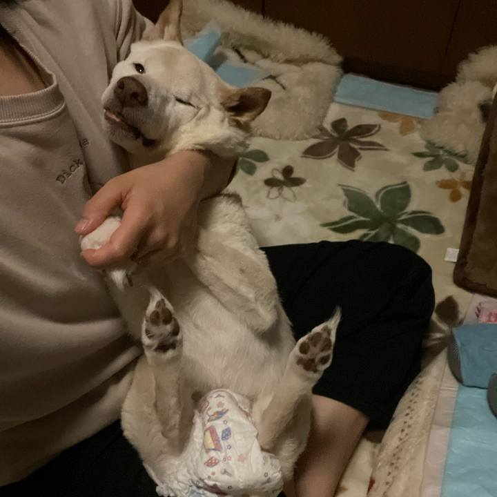 346c1b91 8349 4287 966e 6c5c0ab0b05b 1669495587322