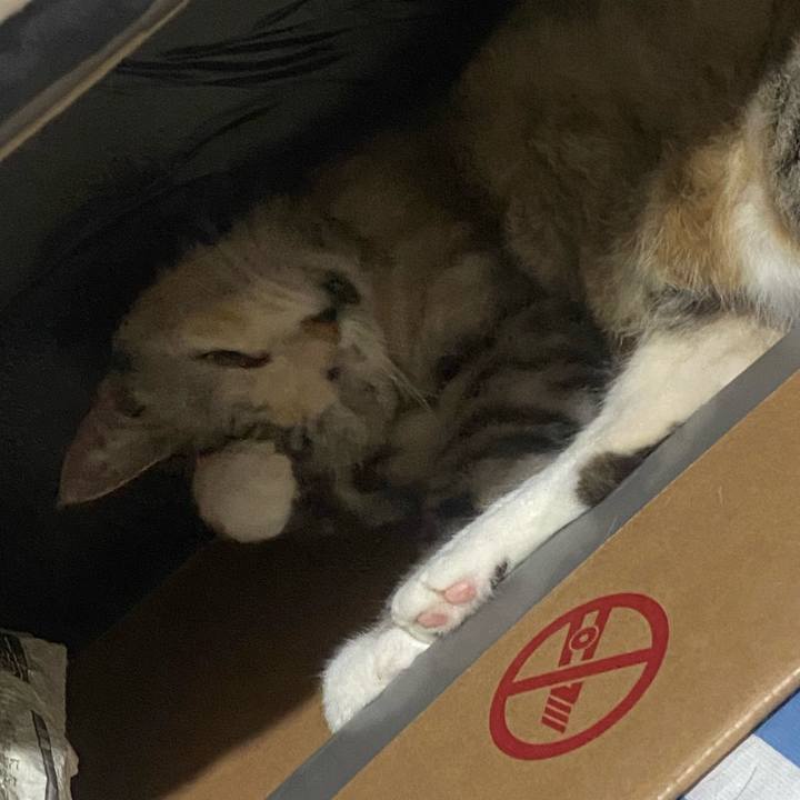 346c1f54 fd0f 4591 a29e 00bd1e56e71f 1757688528660