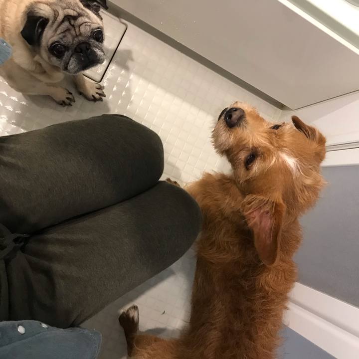 346c21b6 99ac 4c46 9269 90611fb0fd0e 1587544973522