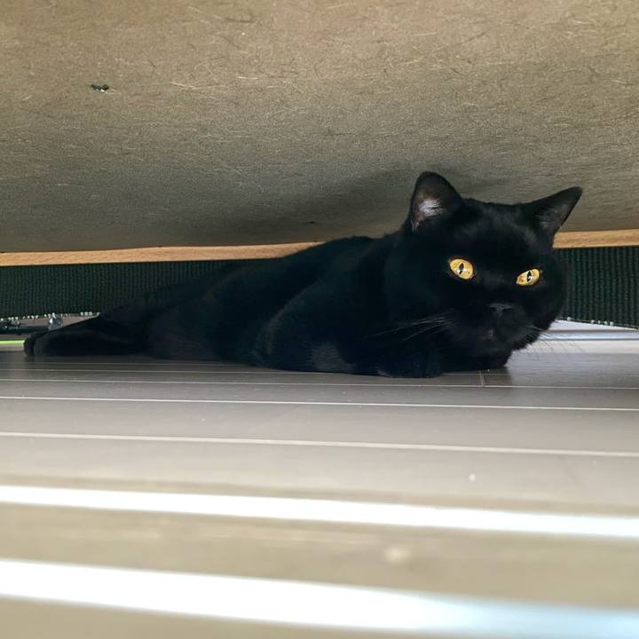 346c2341 e012 44af 8420 c15c6dd86cc2 1719027176829