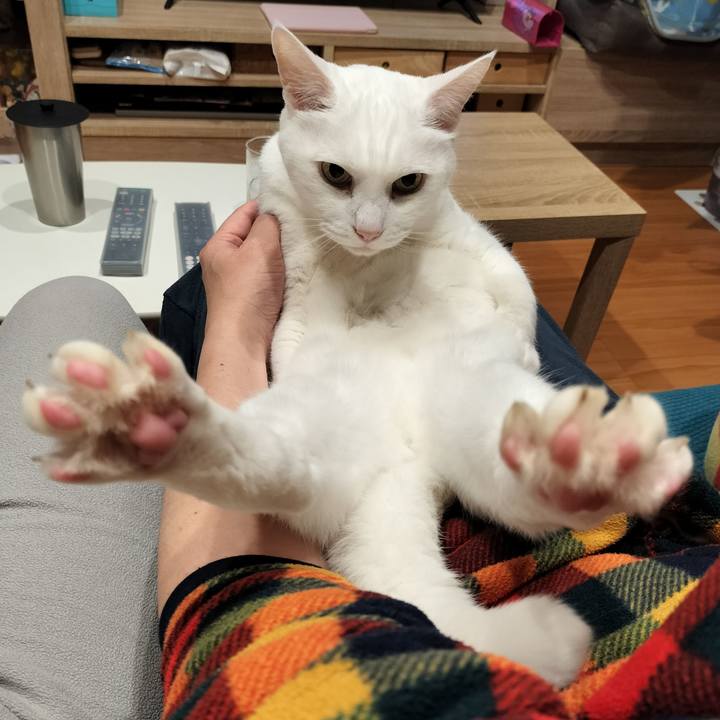 346c5098 b673 4c22 be44 3266f7b14f9b 1766675278396