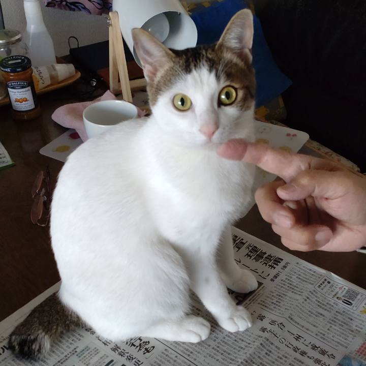 346c6096 033b 43b3 866c b0de00d80248 1666221488437