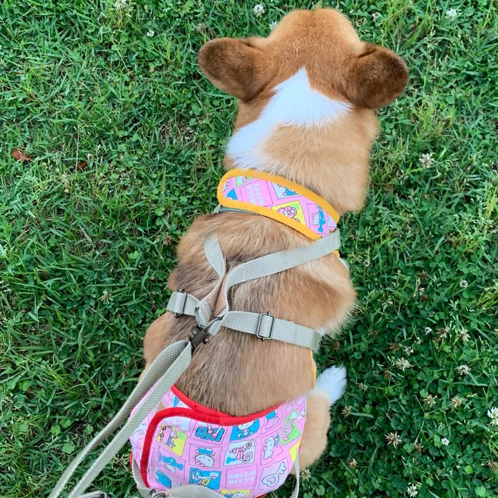 346c6d86 5d22 4174 8c85 92ebe5144fc4 1623145979443