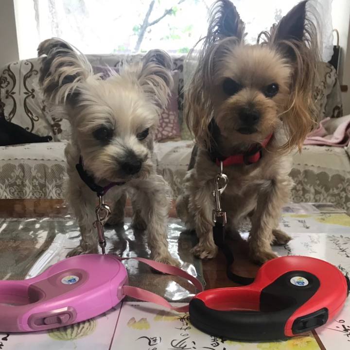 346ca414 81b6 4b70 9dc9 51fe4264159b 1561971421052