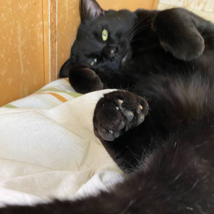 346cbdb2 9088 45b6 b9dd bb48be57f620 1640448144188