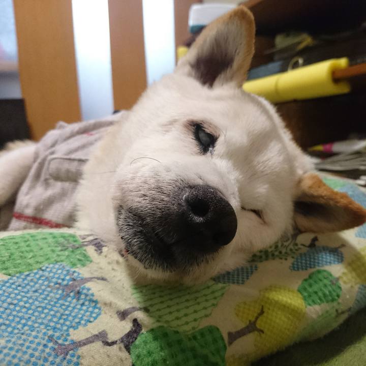 346cc7d3 e13b 49f9 9c51 fde34e7e0c94 1529146778529