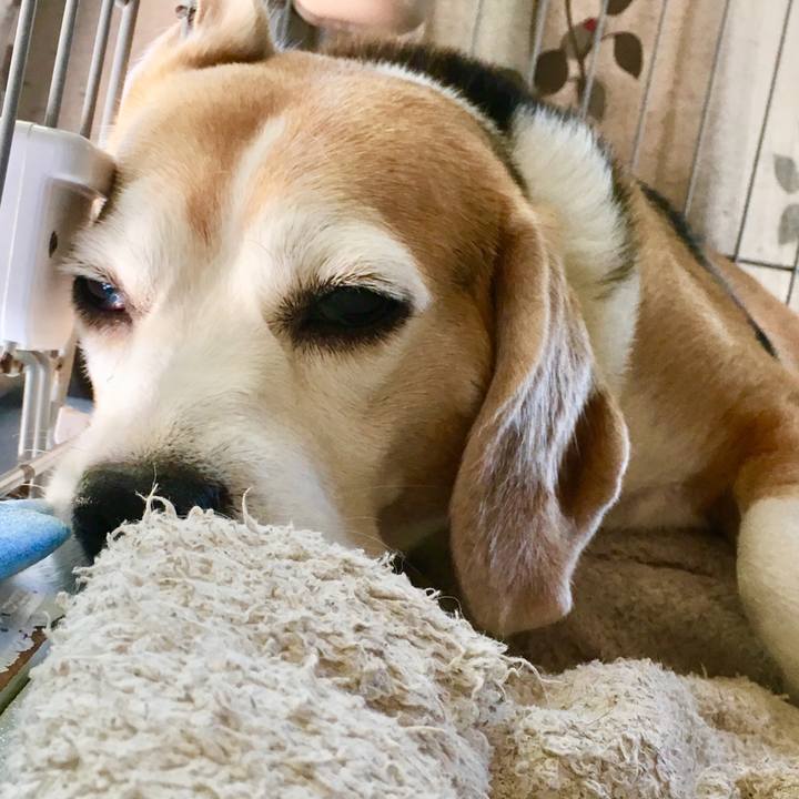 346cc8cc bf1d 471a b742 ca5c060fd003 1538364933919