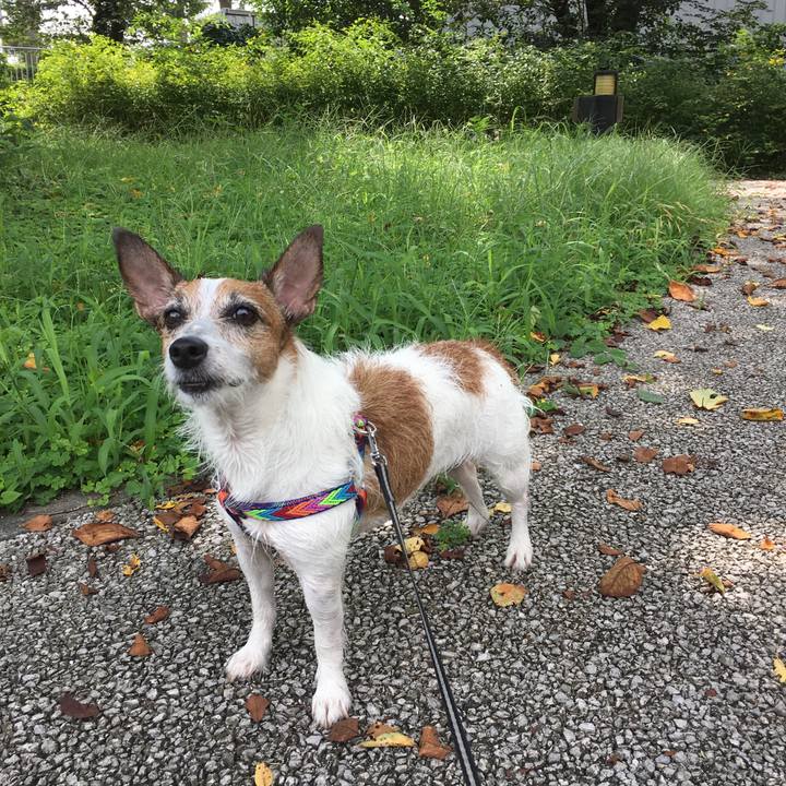 346cce4a ace7 4566 8c4c 4dbe8a13bde7 1568453588688