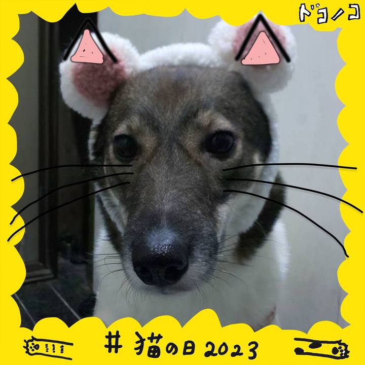 346cd562 eb5a 489b bba6 74fa08bff16c 1677074361336