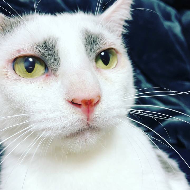 346d0722 60d4 479f bf65 8dba2ad73255 1509874965988