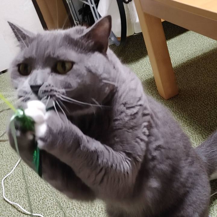 346d7ede e197 434e bf8f a3f6b256d8b4 1631354206909