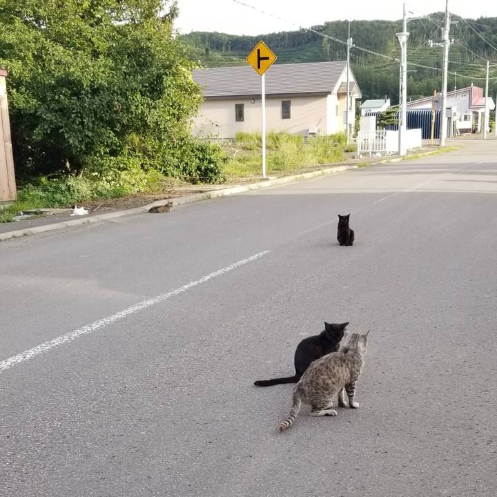 346d94cd 9395 45ca a1c8 3a7cc369361f 1693316498613