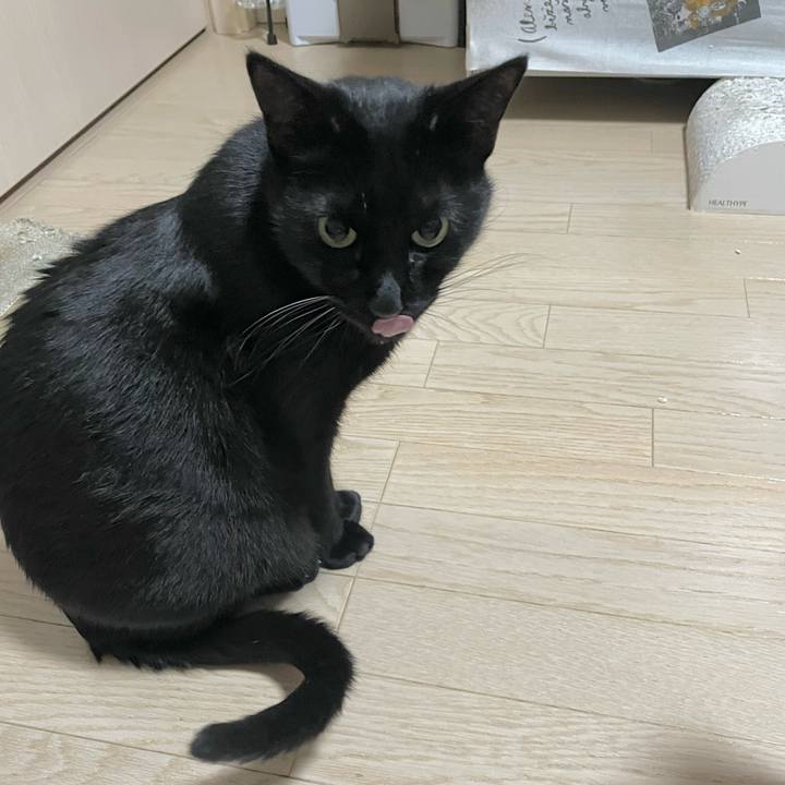 346d9e92 7256 47d7 bf45 6783569dd3a3 1702898042088