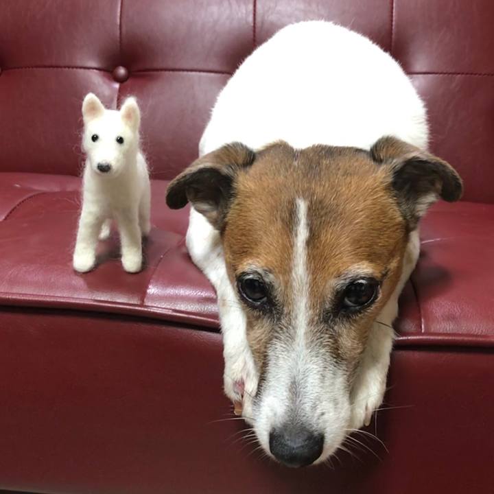 346db90a e25a 4d6a a58f 67d0548359d2 1531575813729