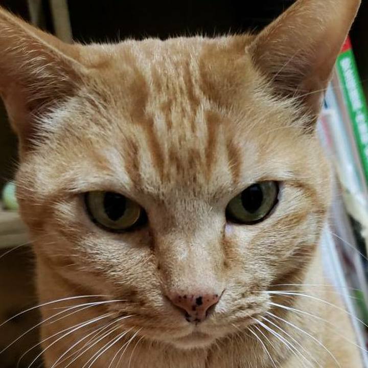 346ddb30 6d66 4f14 9102 cb234b606154 1718176699505