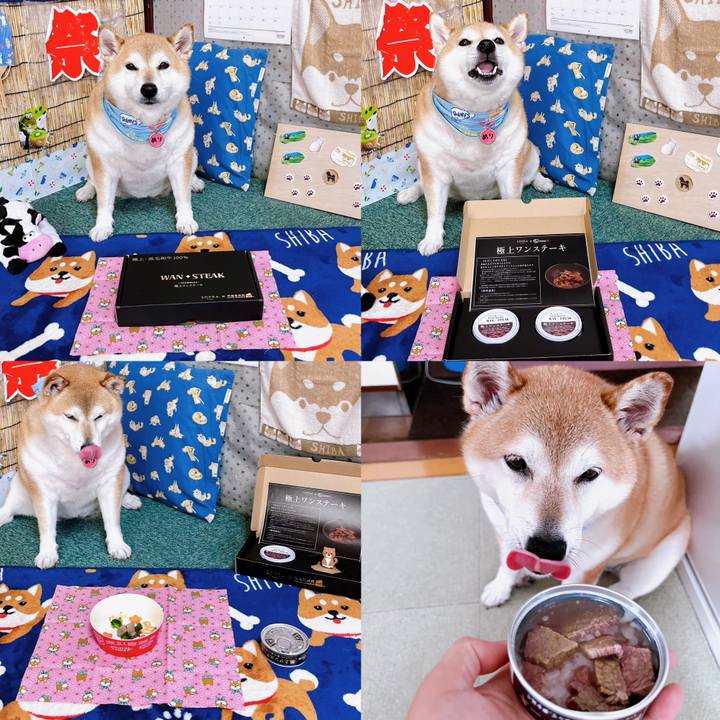 346e0314 2149 40aa 81ac 883846a7f35a 1689387668882