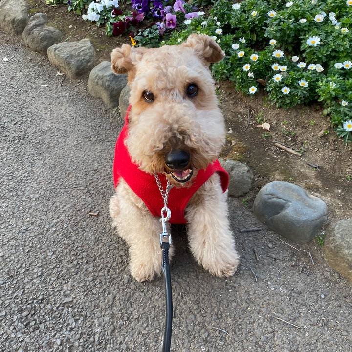 346e0a70 b967 4f4e ac60 93de2466fe3c 1582534023152