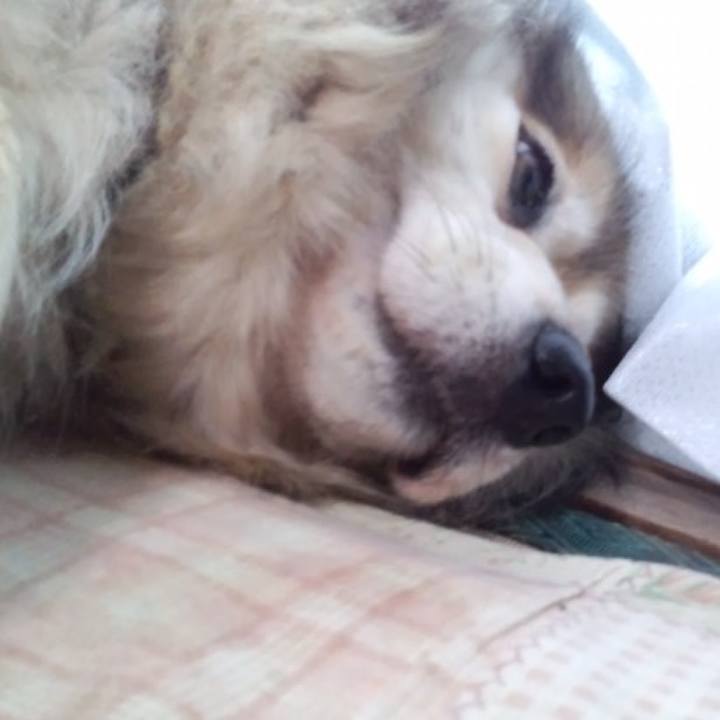 346e3225 9f26 42ce 8676 f3dea98da542 1553575814869