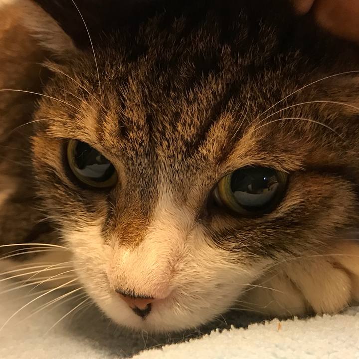 346e51ac d579 4a14 ac43 7c3e38bf24ef 1571726945724