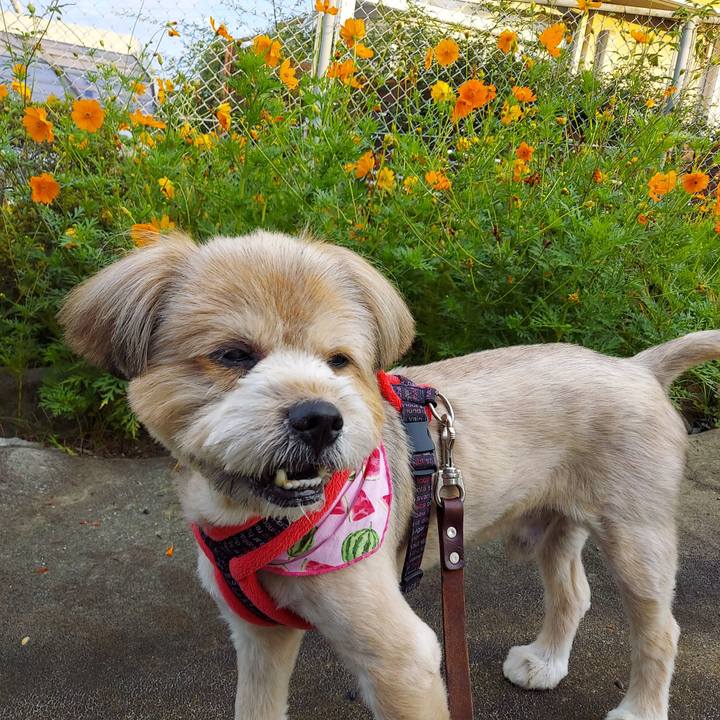 346e9d5a 3ba8 4533 810a c3540954f164 1661465548277