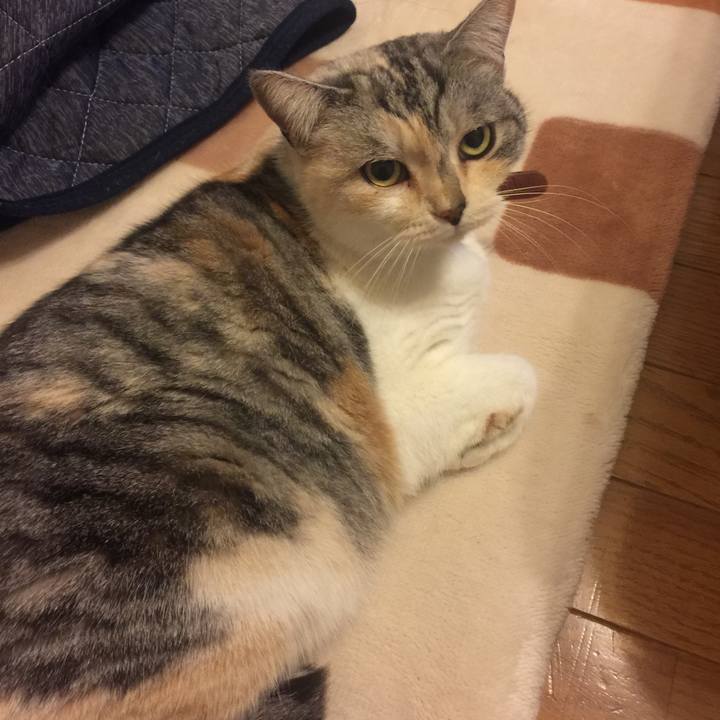 346e9fbe 94e1 4942 97f9 73313594a370 1551193843929