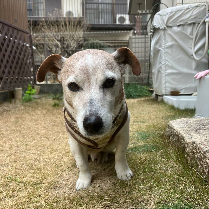 346ed744 384c 4eb1 a4d0 f5427bd327f6 1771374434205