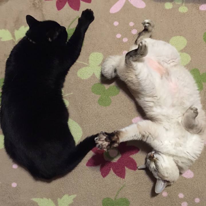 346eec3a b3ac 4baa 8c93 8362ea2ce4b0 1541970073350