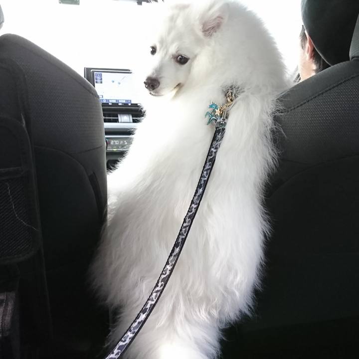 346ef47b 0f41 4353 8d01 7b92f4ab8afb 1562396544167