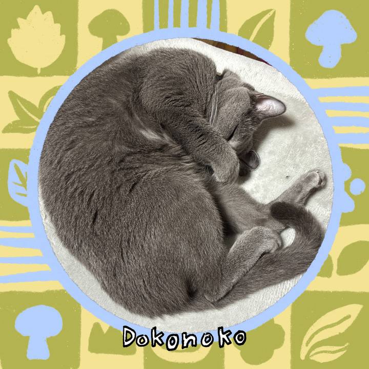 346eff0a 281b 4db8 843c dfb32385a2bc 1761567180098