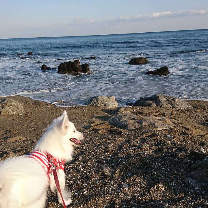 346f00a9 9985 469a 9808 cd03bb6bab45 1523194157702