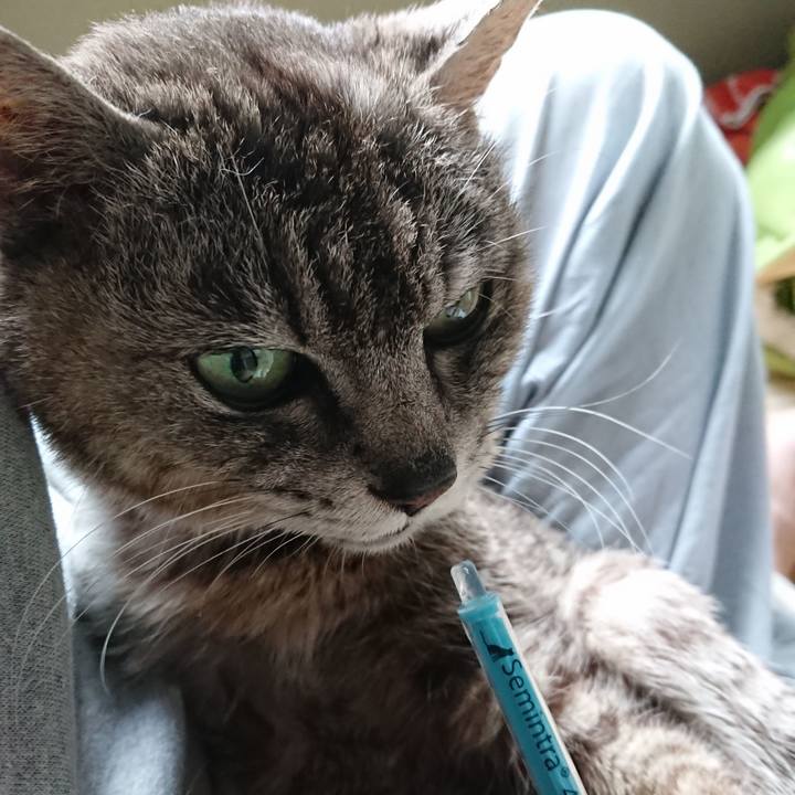 346f0c4b f0f4 4379 b0d0 a1cb3151c304 1593380373233