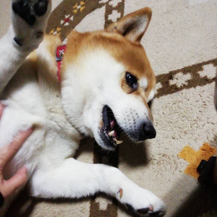 346f227e bf09 42e1 b211 54ef27d7e36c 1641862779371