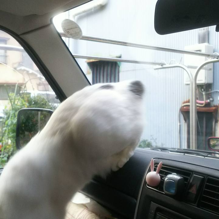 346f7487 4b31 480e b371 3d5713963b43 1544692293639